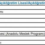 aol-okul-kodu